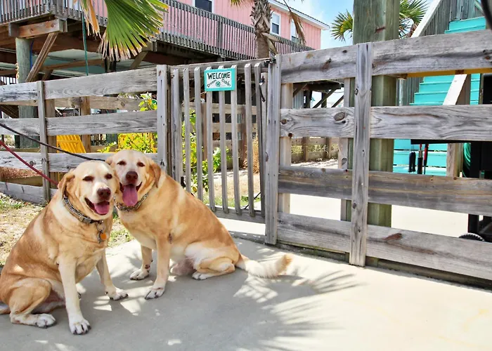 Dream Catcher By Youngs Suncoast Holiday home Gulf Shores