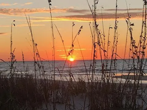 Dream Catcher By Youngs Suncoast Gulf Shores